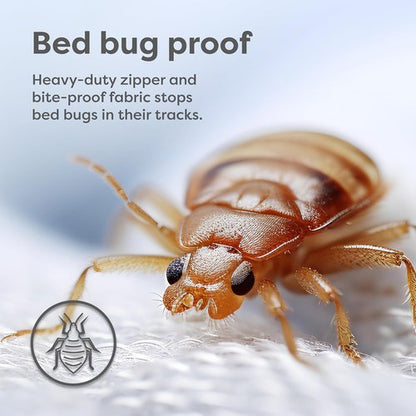 HOSPITOLOGY PRODUCTS Mattress Encasement - Hypoallergenic Bed Bug & Dust Mite Protection - Full Size 54" W x 75" L