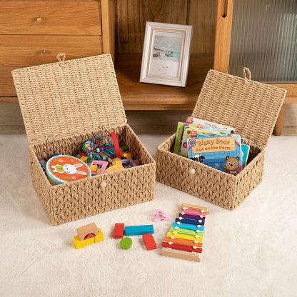 OIAHOMY Wicker Storage Baskets - Lidded Organizing Bins with Lock | Set of 2 in Natural Color