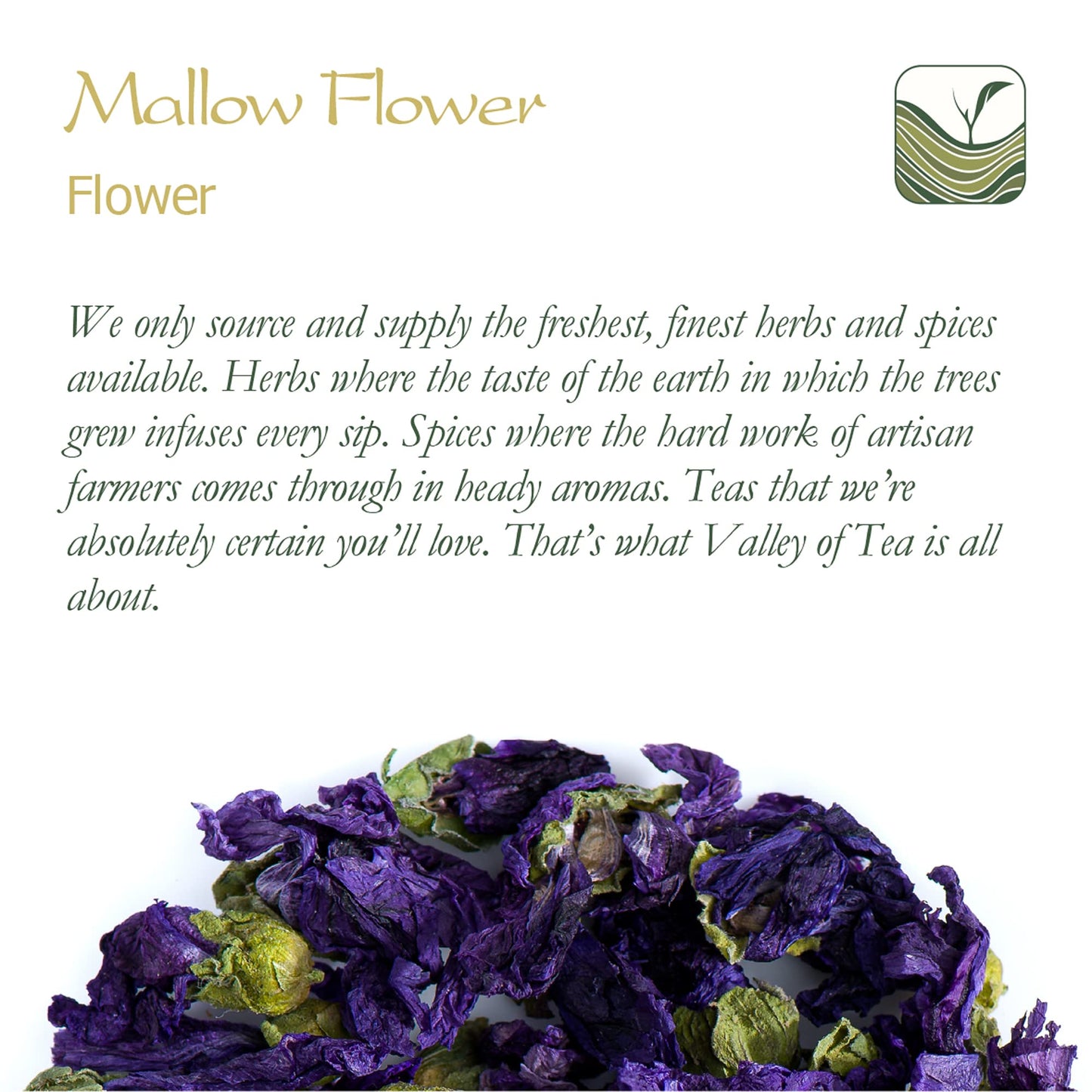 Mallow Blue Flower Tea Blossom - Malva Sylvestris Malva Herb Tisane