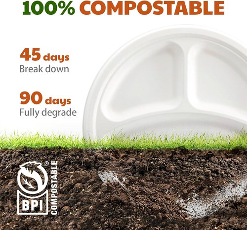 Compostable 3-Compartment Paper Plates - Heavy Duty Biodegradable Lunch Trays | 10 Inch, 125 Count, White