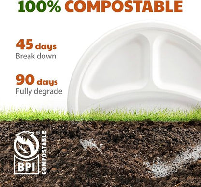 Compostable 3-Compartment Paper Plates - Heavy Duty Biodegradable Lunch Trays | 10 Inch, 125 Count, White
