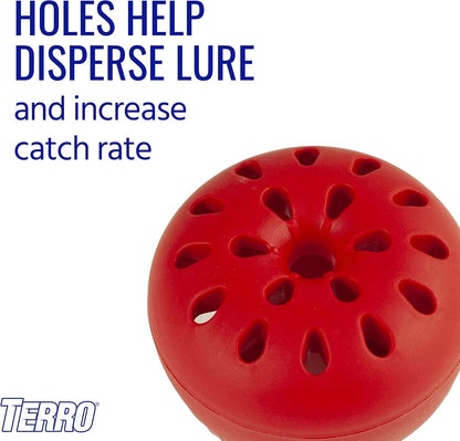 Terro T2502 Indoor Fruit Fly Trap - Ready-to-Use with Built-In Window | 2 Traps + 90-Day Lure Supply