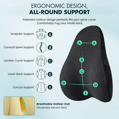 Memobarco Lumbar Support Pillow, Patented Ergonomic Back Support for Lower Back Pain Relief, Back Cushion with Strap for Office Chair, Sofa, Recliner, Car, Plane, Memory Foam, Washable Cover, Black