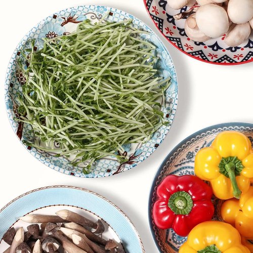 Artena Pasta Bowls Set - 20oz Porcelain Salad Bowls | 8 Inch Colorful Dinner Plates in Blue Peony