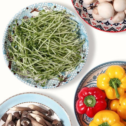 Artena Pasta Bowls Set - 20oz Porcelain Salad Bowls | 8 Inch Colorful Dinner Plates in Blue Peony