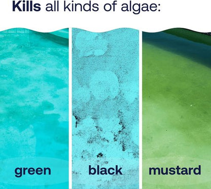 HTH 67089 Algae Guard Ultra - Long Lasting Swimming Pool Care Chemical, 32 Fl Oz