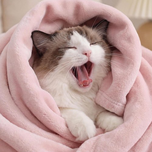 Bedsure GentleSoft King Size Pink Fleece Blanket - Soft, Lightweight, Plush Microfiber, 108x90 Inches