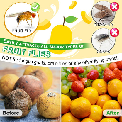 Qualirey Fruit Fly Trap Refill Liquid - 6 Pack, Non-Toxic Bait Safe for Pets & Kids, 0.68oz Each