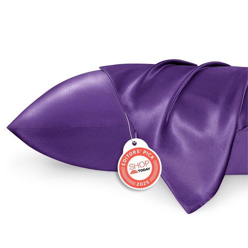Bedsure Polyester Pillowcases, Polyester Pillow Cases Queen Size Set of 2, Purple Pillow Case for Sleeping Women with Envelope Closure, Gifts for Women Men, 20x30 Inches, 2pcs