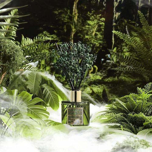 COCORRÍNA Reed Diffuser - Redwood National Park 6.7 Fl. Oz Set with 8 Sticks & Baby's Breath Decor