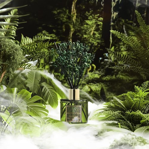 COCORRÍNA Reed Diffuser - Redwood National Park 6.7 Fl.oz Reed Diffuser Set with 8 Sticks & Preserved Baby's Breath, Reed Diffuser for Home Bathroom Shelf Decor