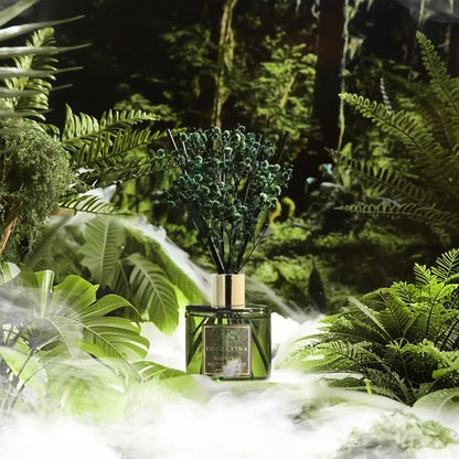 COCORRÍNA Reed Diffuser - Redwood National Park 6.7 Fl.oz Reed Diffuser Set with 8 Sticks & Preserved Baby's Breath, Reed Diffuser for Home Bathroom Shelf Decor