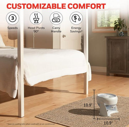 Honeywell TurboForce Air Circulator - Quiet Small Tabletop Fan with 3 Speeds & 90° Pivoting Head | White HT-904