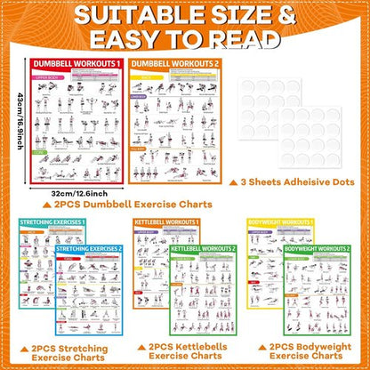 Gisgfim 8PCS Workout Posters | Full Body Exercise Charts for Home Gym - Laminated Dumbbell & Kettlebell Training Decor