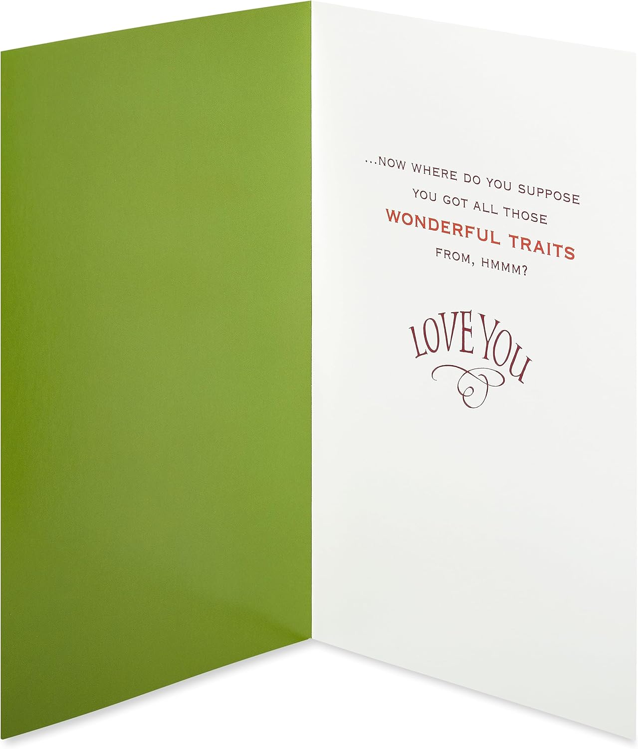 American Greetings Funny Christmas Card - Silly Holiday Greeting for Son | Celebrating His Wonderful Traits