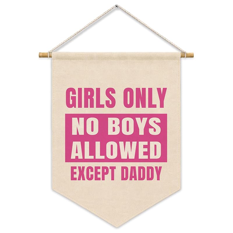 Girls Room Wall Art Decor Pennant Banner - Cute Pink Pennant Flag for Kids Room Variation: Art Cute Girl Only Linen-13