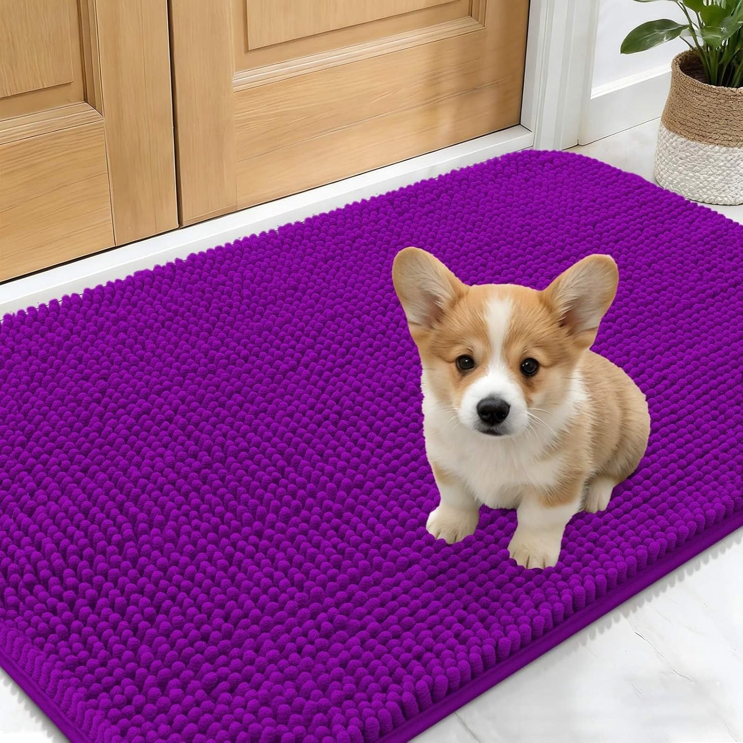 OLANLY Dog Door Mat - Absorbent Non-Slip Washable Doormat for Muddy Paws | 24x16 Purple Chenille Carpet