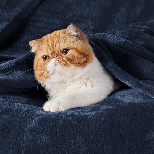 Bedsure GentleSoft Throw Blanket - Cozy Navy Blue Fleece for Home Decor | 50x60 Inches, 300GSM