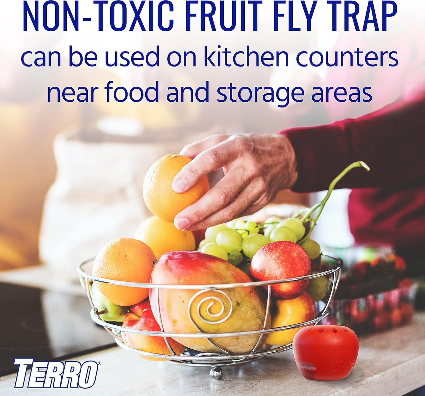 Terro T2502 Indoor Fruit Fly Trap - Ready-to-Use with Built-In Window | 2 Traps + 90-Day Lure Supply