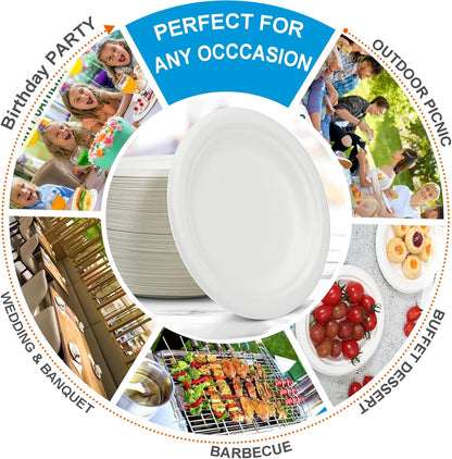 Skiennix Disposable White Paper Plates - 6 Inch Heavy Duty Biodegradable & Compostable | 100 Count, Leak-Proof, Microwave Safe for Parties & Snacks