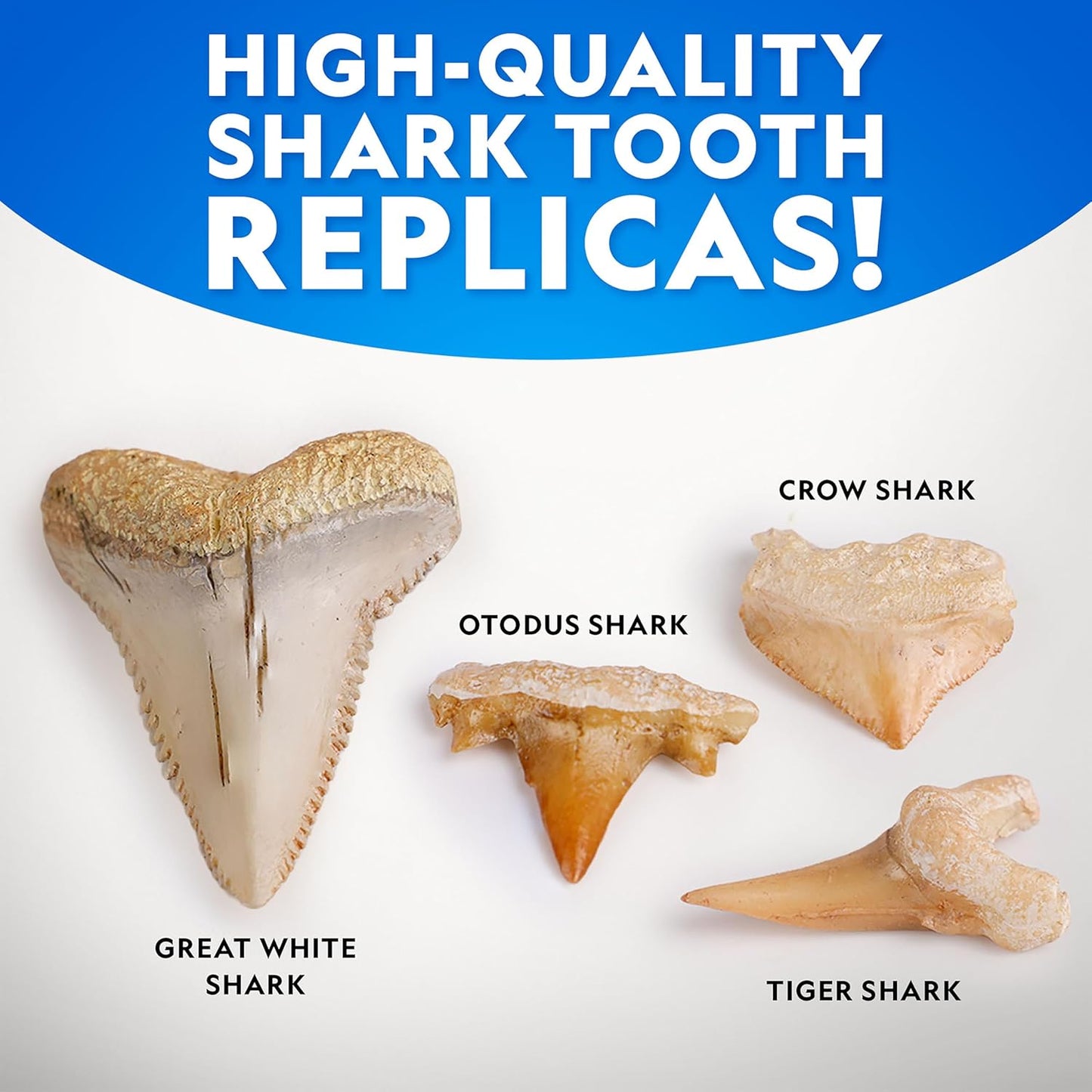 National Geographic Shark Tooth Dig Kit - Excavate Replica Shark Fossils | STEM Activity for Kids Ages 6-8