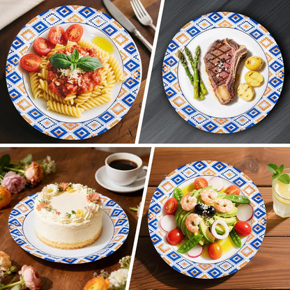 Regine Switzerland 120 PCS Disposable Paper Plates - 9 Inch Heavy Duty, Cut Proof & Soak Proof for Parties & Gatherings