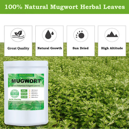 Dried Mugwort Leaves, 5.5oz(155.0g), Mugwort Leaf, Natural Artemisia Vulgaris Herbal Loose Leaves