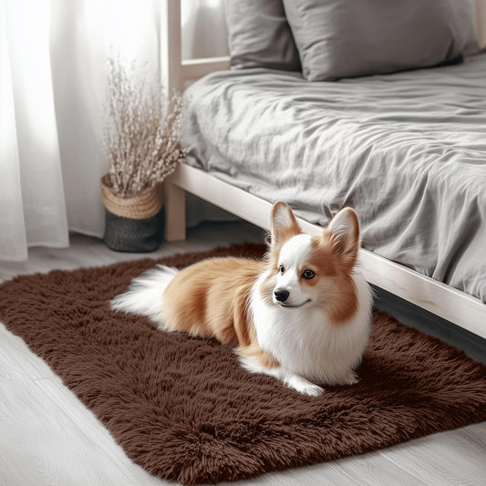 OLANLY Soft Fluffy Shaggy Small Rug - Machine Washable Indoor Carpet for Bedroom & Nursery | 2x2 ft