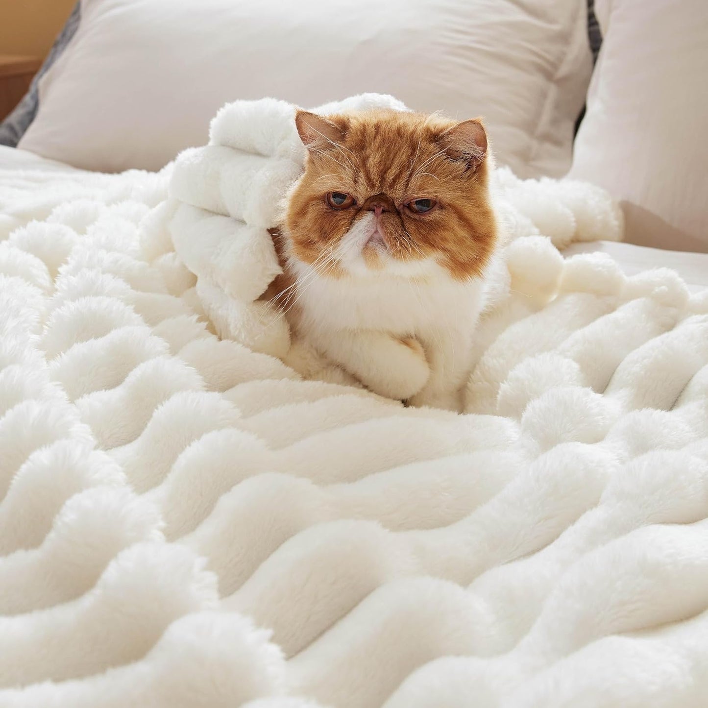 Bedsure Queen Size Blanket - 350GSM Super Soft Fuzzy Plush Throw | Cozy White Fleece, 90x90 Inches
