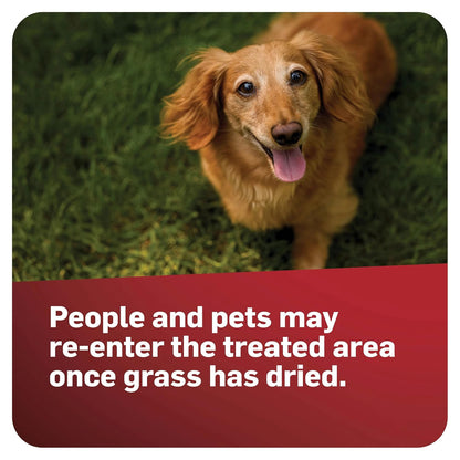 Scotts GrubEx1 Grub Killer - Season-Long Lawn Protection for 5,000 sq. ft., 14.35 lbs.