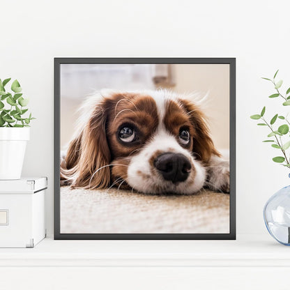 Pera Print Custom Photo Poster - Personalized Wall Art Prints (12 x 12 Inches)