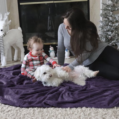 Bedsure GentleSoft Fleece Blanket Twin Size Purple - 300GSM Lightweight Plush Fuzzy Cozy Soft Warm Blanket for Bed, Sofa, Couch, Travel, Camping, 60x80 inches