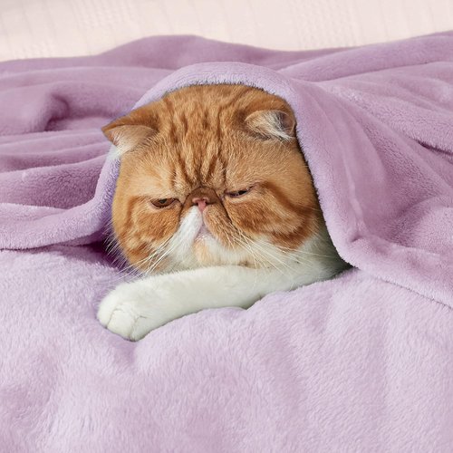 Bedsure GentleSoft Fleece Blanket - King Size Lilac Lavender, Soft & Cozy Microfiber, 108x90 Inches