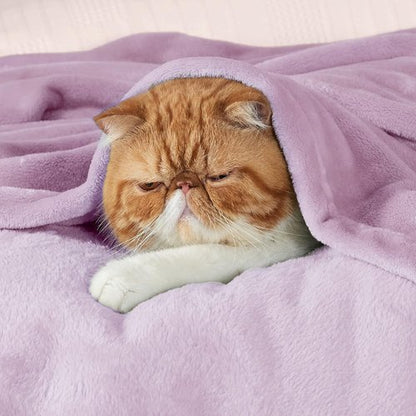 Bedsure GentleSoft Fleece Blanket - King Size Lilac Lavender, Soft & Cozy Microfiber, 108x90 Inches