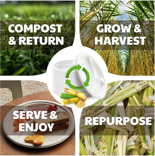 Compostable 3-Compartment Paper Plates - Heavy Duty Biodegradable Lunch Trays | 10 Inch, 125 Count, White