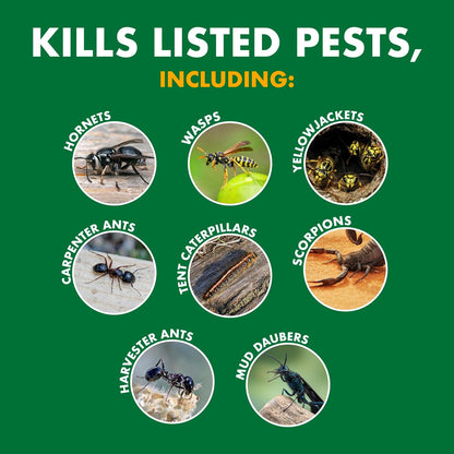 Spectracide Wasp & Hornet Killer - Instant Contact Kill & Nest Elimination - 12 Pack