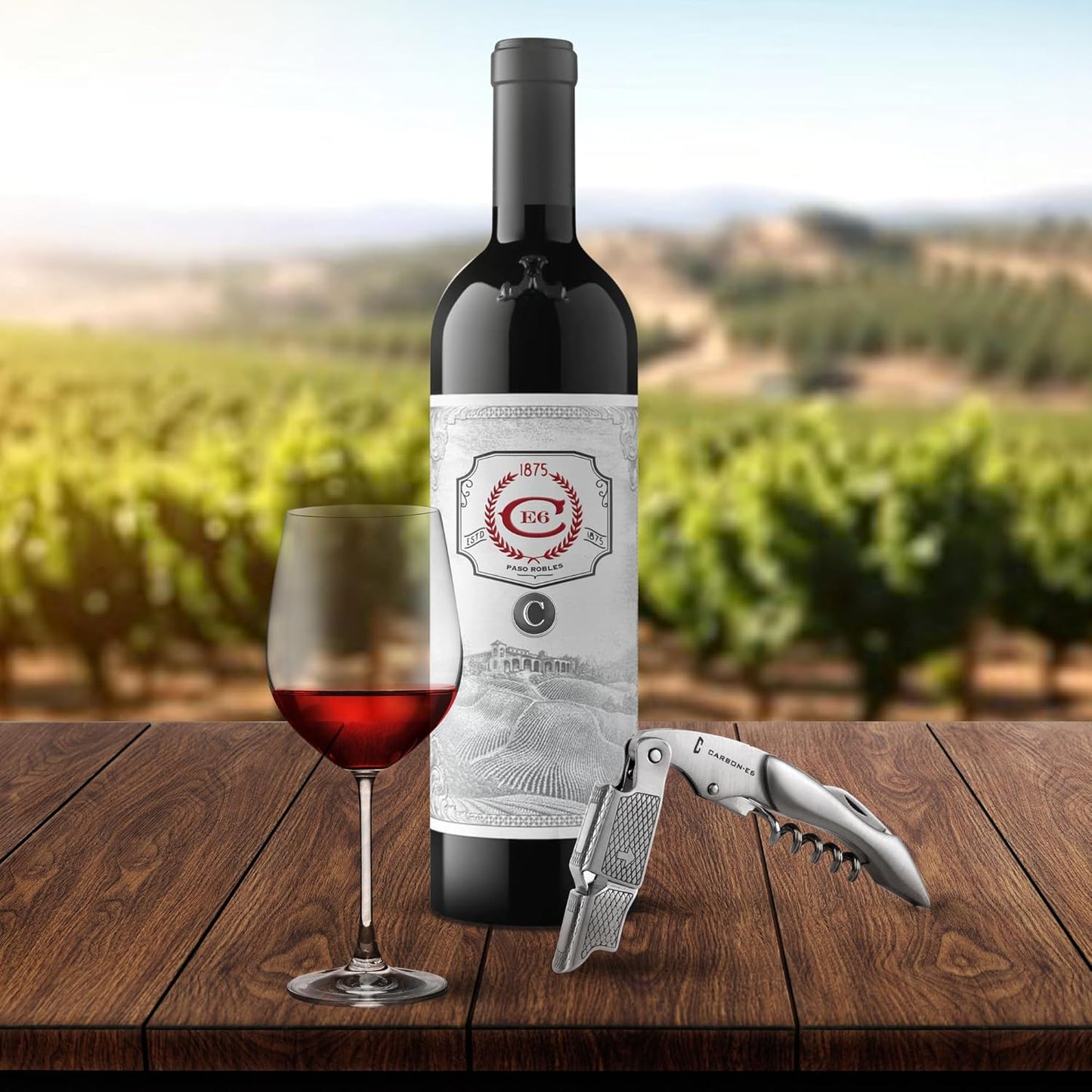 Professional Waiter's Corkscrew Wine Bottle Opener (The ultimate wine key for bartenders, servers, sommeliers, connoisseurs, enologists, and all wine enthusiasts)