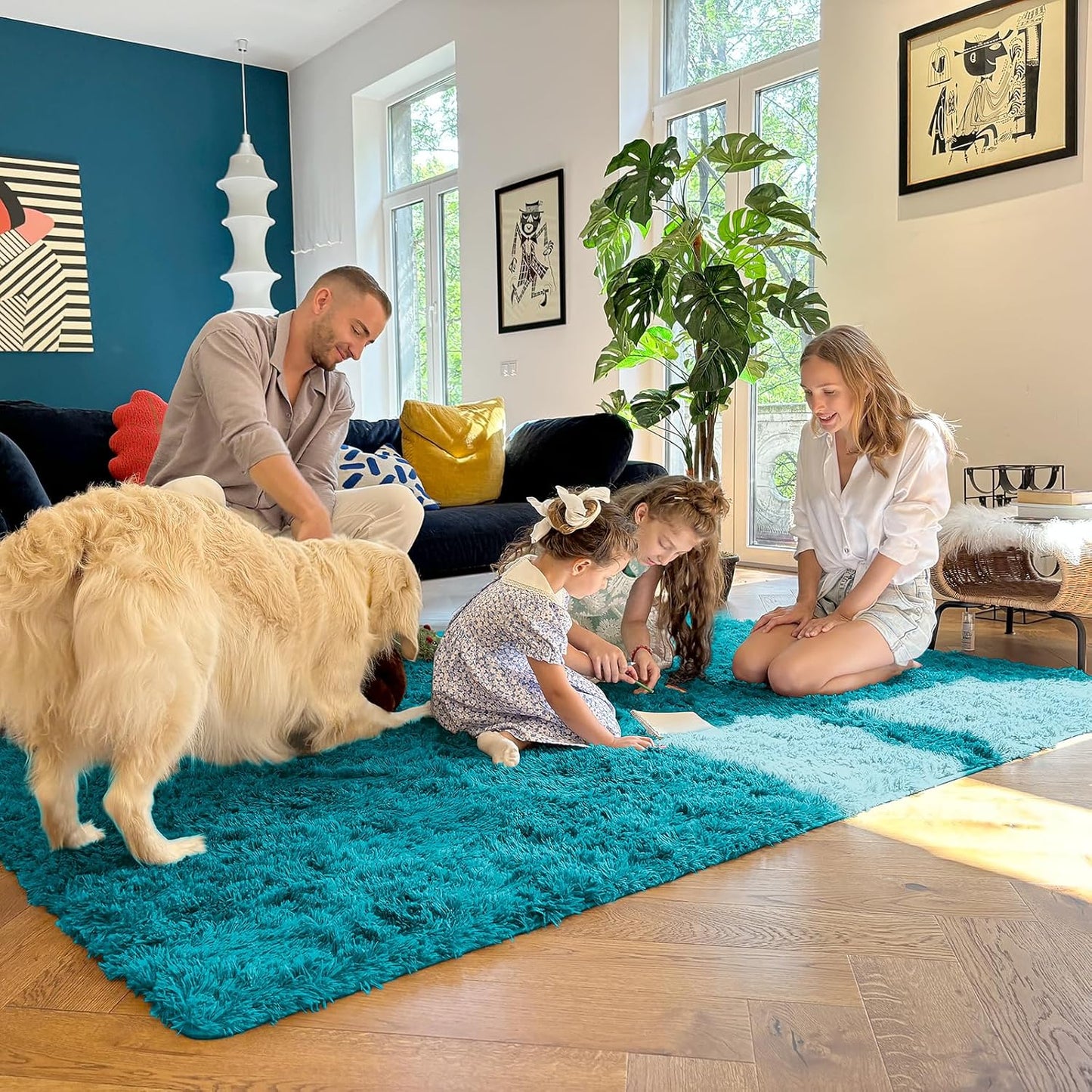 OLANLY Large Area Rug - Soft Fluffy Shaggy Carpet for Living Room & Bedroom | 9x12 Teal Design