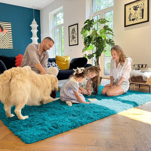 OLANLY 5x8 Machine Washable Large Area Rugs for Living Room, Bedroom, Soft Fluffy Shaggy Bedside Rug, Indoor Floor Carpet for Kids Girls and Boys, Dorms, Nursery, Home Decor Aesthetic, Teal