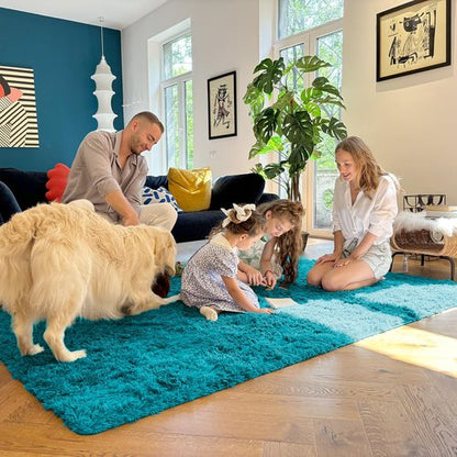 OLANLY 5x8 Machine Washable Large Area Rugs for Living Room, Bedroom, Soft Fluffy Shaggy Bedside Rug, Indoor Floor Carpet for Kids Girls and Boys, Dorms, Nursery, Home Decor Aesthetic, Teal