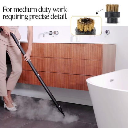 Dupray Small Brass Brushes - Heavy-Duty Cleaning Accessories for Dupray Steam Cleaners, Pack of 10