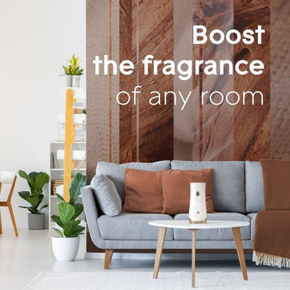Glade Automatic Spray Refill and Holder Kit, Air Freshener for Home and Bathroom, Cashmere Woods, 6.2 Oz