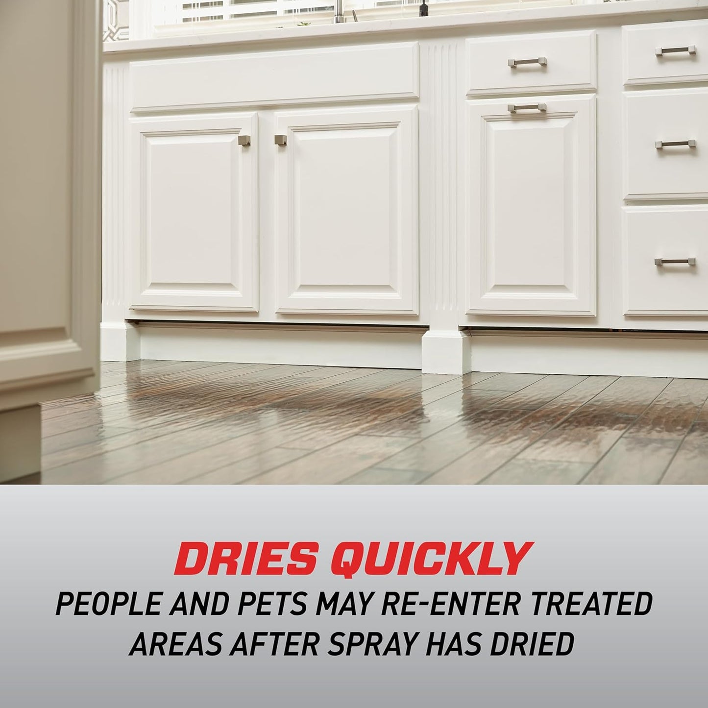 Ortho Home Defense Max Indoor Insect Spray - Kills Ants, Roaches & Spiders | 14 oz. (2-Pack)