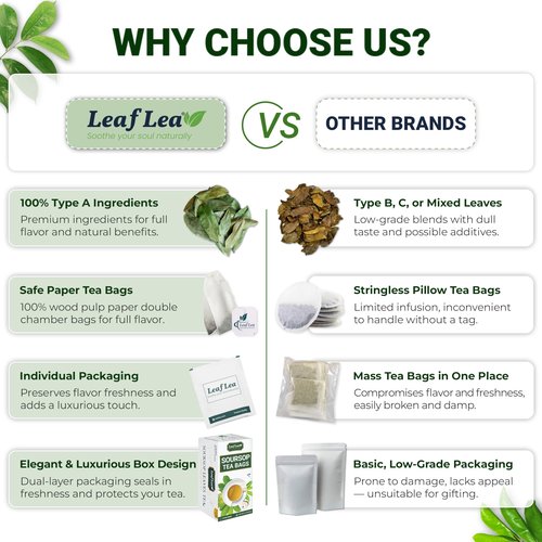 LeafLea 120 Soursop Tea Bags, from 100% Natural Pure Soursop Graviola Leaves, Improve Digestion, Support Healthy Skin & Sleep, Herbal Tea Caffeine-free, Hojas De Guanabana Tea, Non-GMO, Pack of 3
