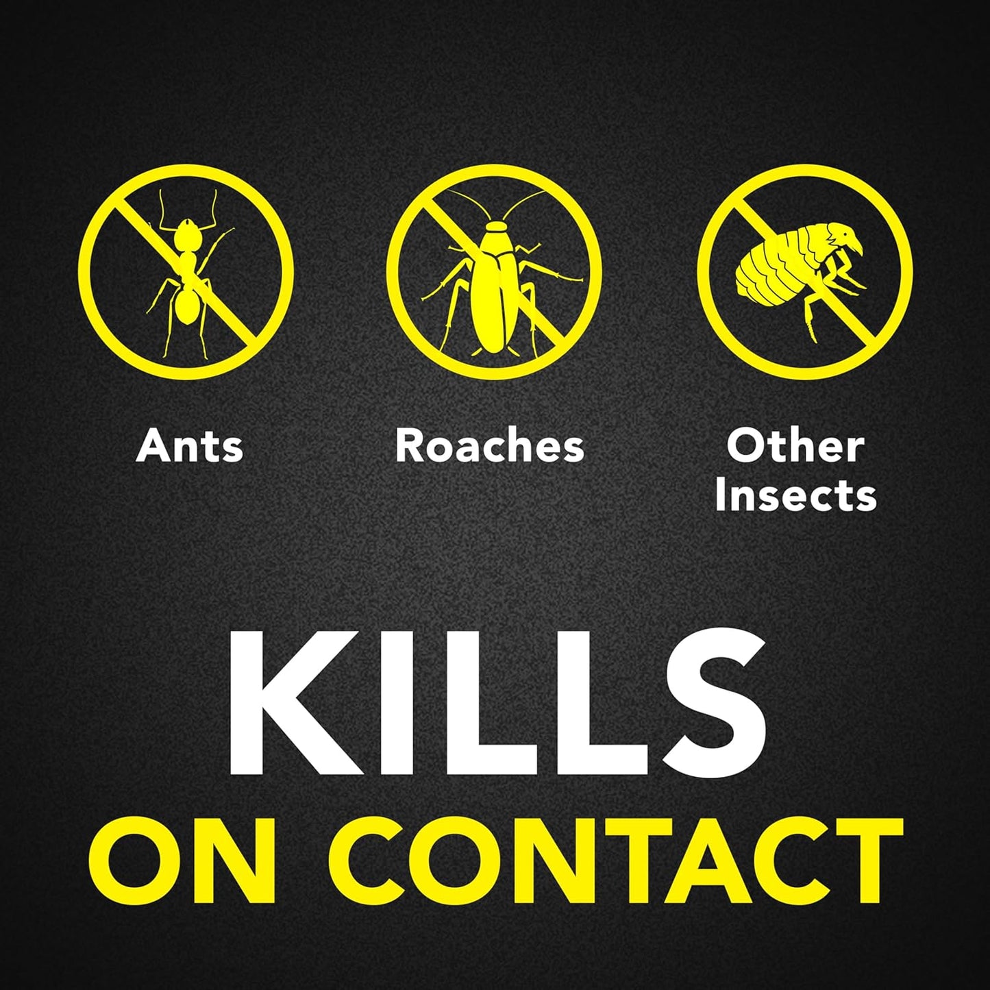Raid Ant & Roach Aerosol Bug Spray - Water-Based Insecticide, Kills On Contact, 17.5 oz