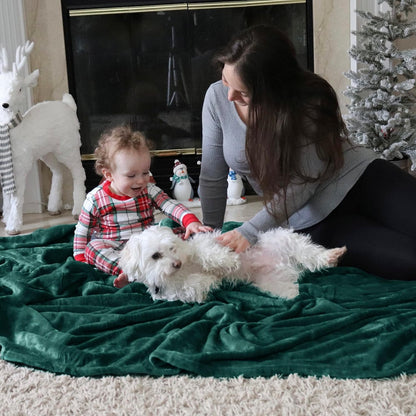Bedsure GentleSoft Fleece Blanket - Lightweight Plush Cozy Twin Size in Emerald Green, 60x80 Inches