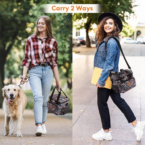 Lifewit Insulated Lunch Bag - Soft Cooler Tote for Adults | Paisley Design, 12-Can Capacity (9L)