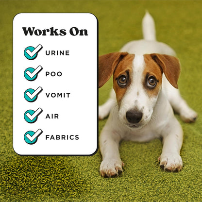 Poo-Pourri Pawsitively Fresh Pocket Deodorizer Spray - Natural Pet Odor Remover for Dogs & Cats - Vet Recommended
