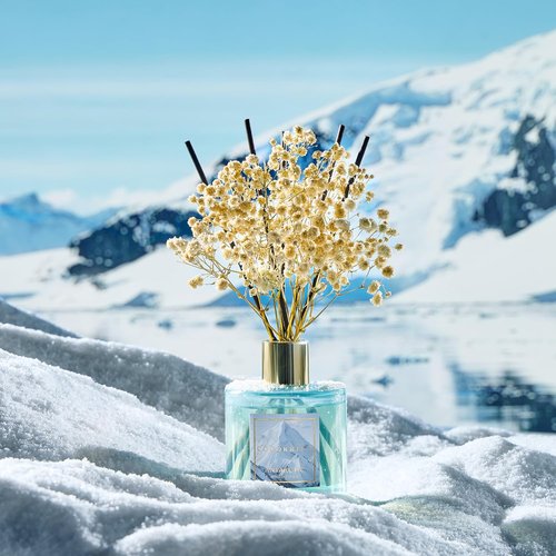 COCORRÍNA Reed Diffuser - Antarctic 6.7 Fl. Oz Set with 8 Sticks & Preserved Baby's Breath | Elegant Home Decor