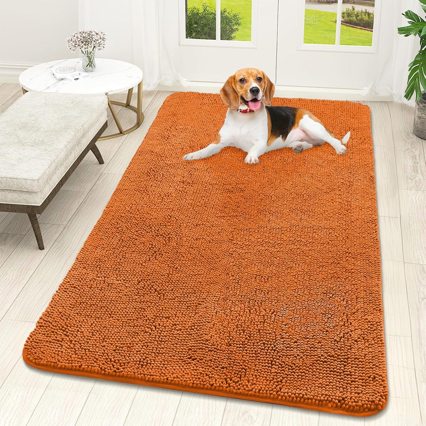 OLANLY Dog Door Mat - Absorbent Non-Slip Chenille Mat for Muddy Paws | 59x32, Quick Dry, Indoor Entryway Carpet